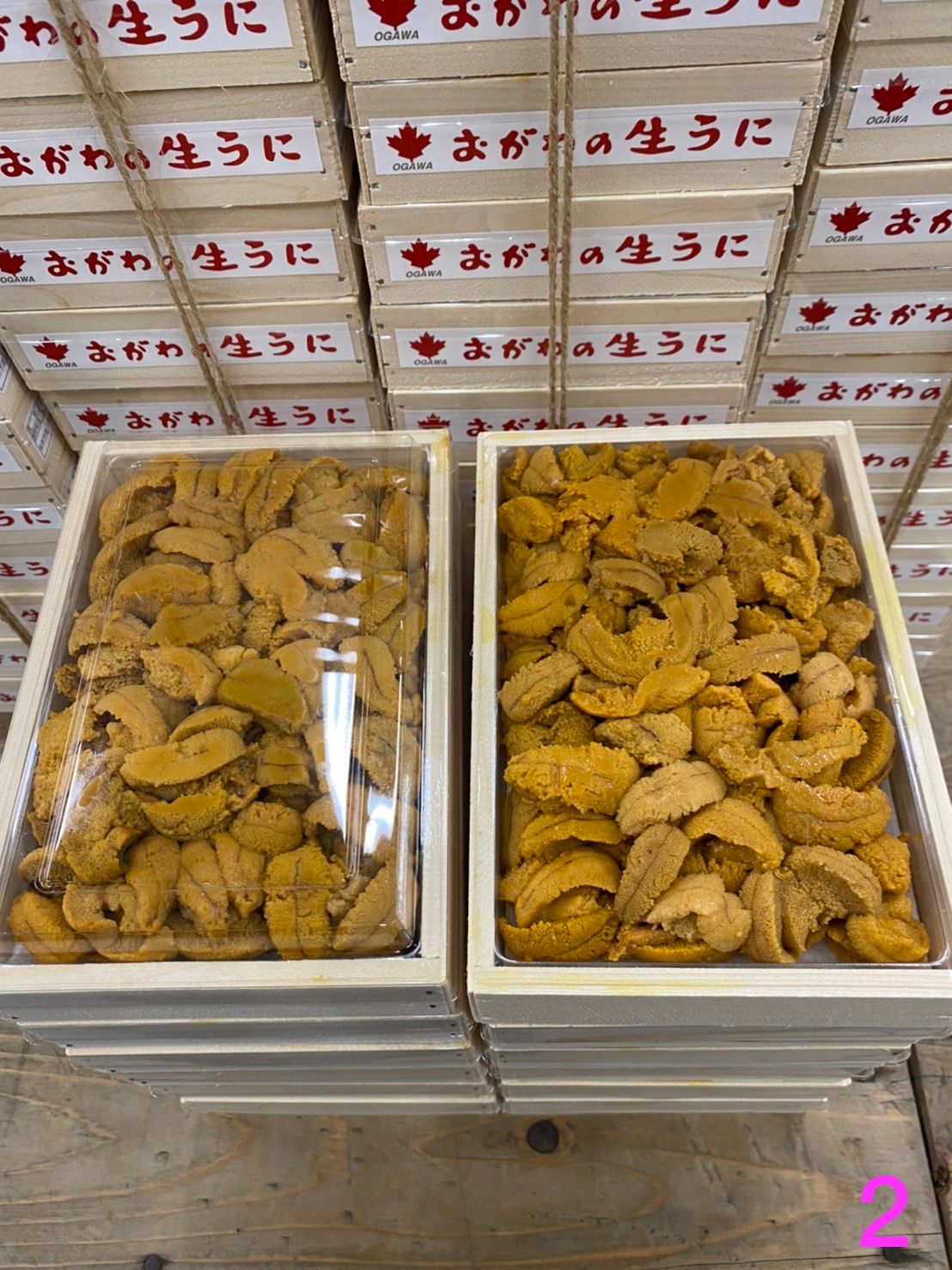 圖像