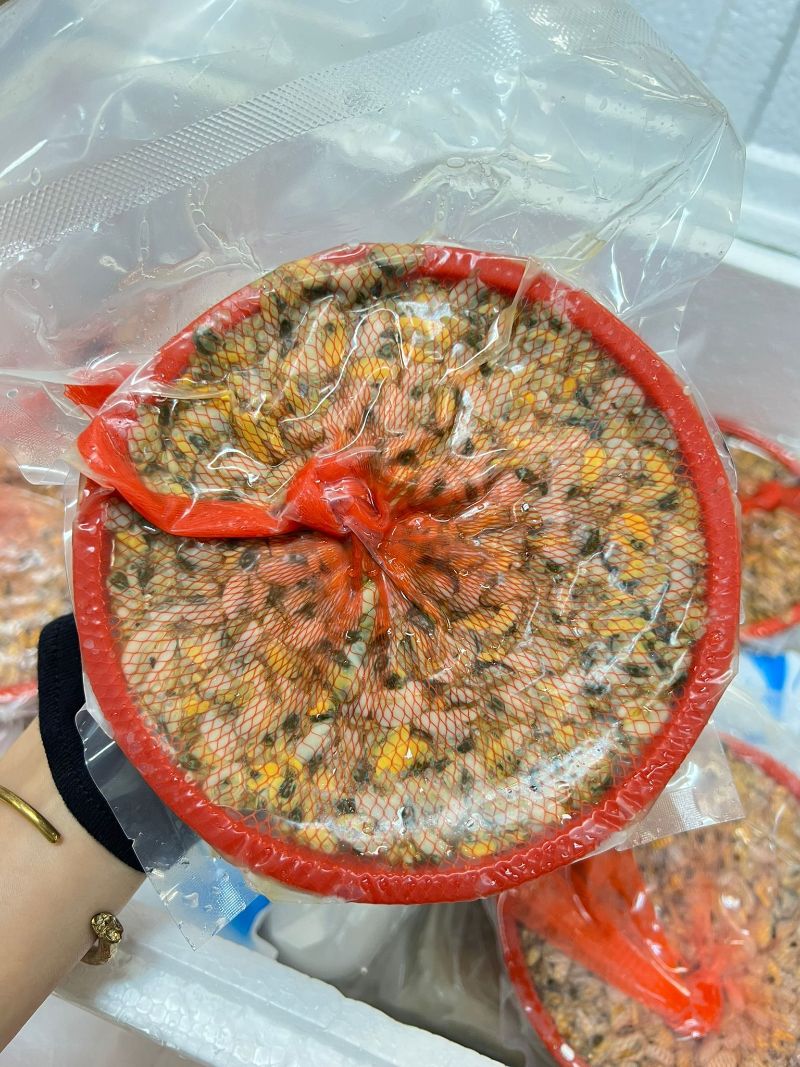 圖像