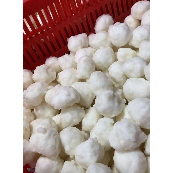 潮汕頂級彈牙墨斗丸500g